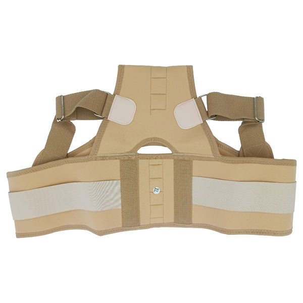 Back Brace and Posture Corrector