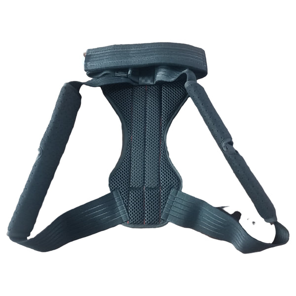 Back Brace and Posture Corrector